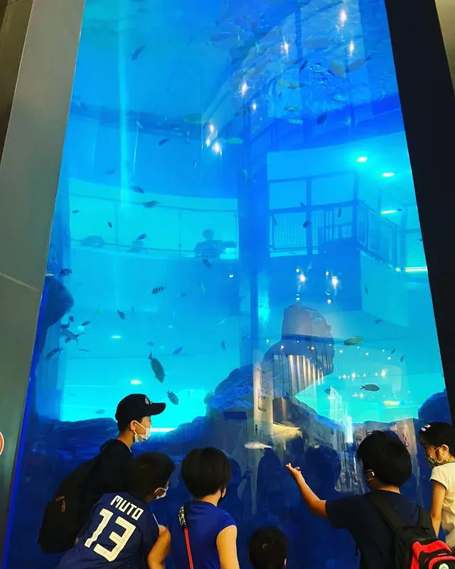 戸外活動で福岡市博多区「博多ポートタワー」に