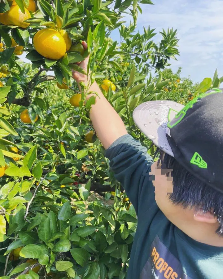 げんきに仲良くみかん狩り 古賀市香林の園-2