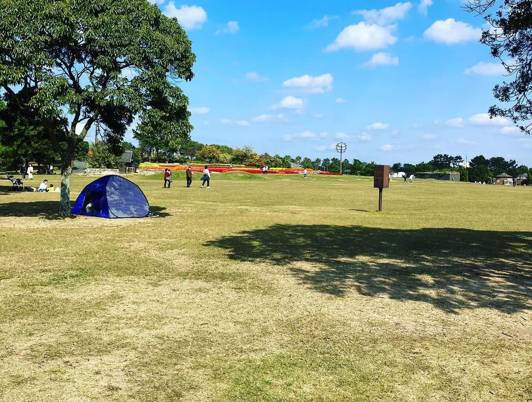 福岡市東区で戸外活動「海の中道海浜公園」-2