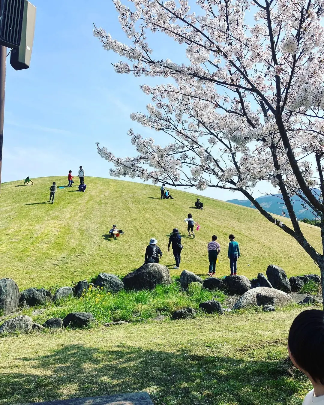 粕屋町の公園で草スキー