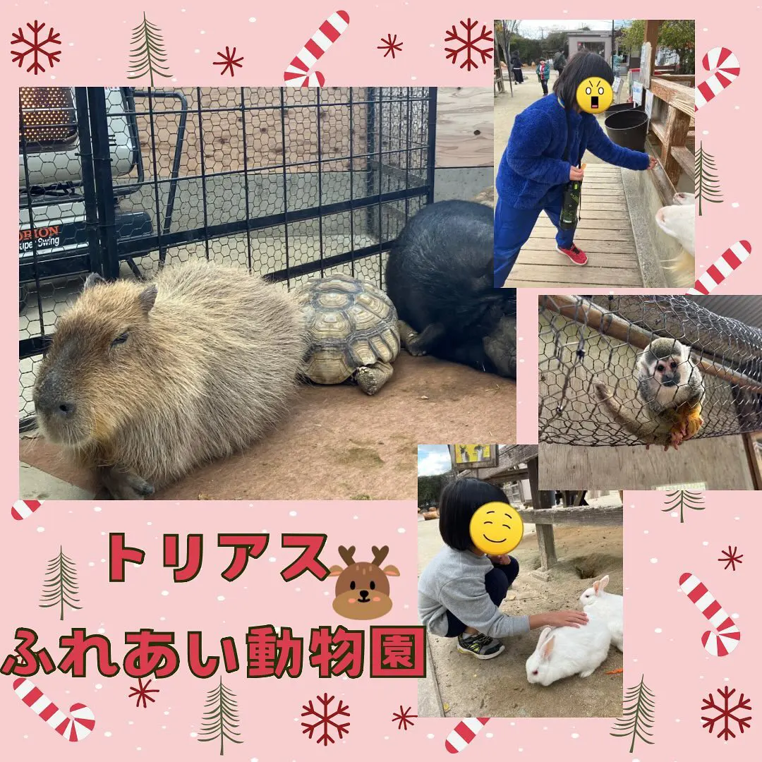 糟屋郡久山町のトリアスふれあい動物園で楽しむ子ども達