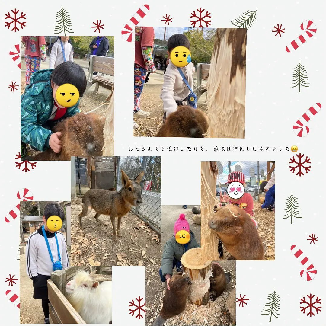 糟屋郡久山町のトリアスふれあい動物園で楽しむ子ども達2