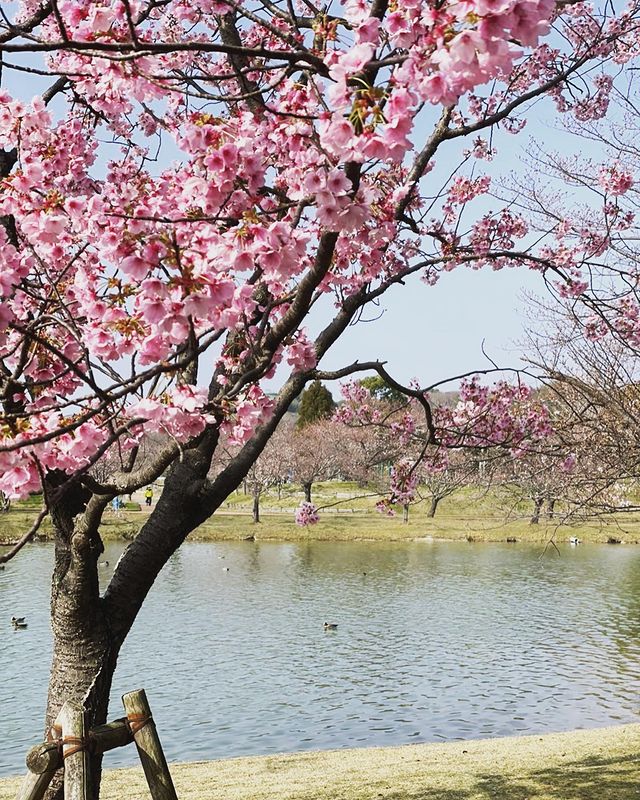 粕屋町の駕与丁公園