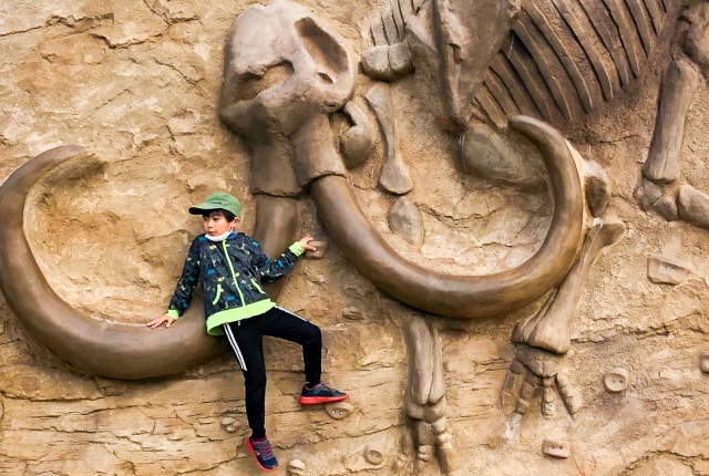 フォトギャラリーその2