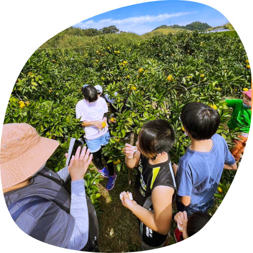 サービス内容-5